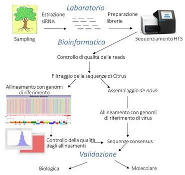 NGS, tecnologie diagnostiche avanzate